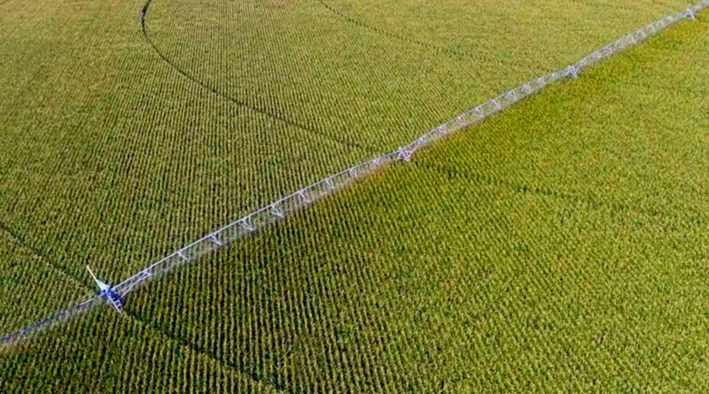 système d'irrigation à Pivot central