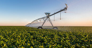 pommes de terre avec système d'irrigation à Pivot central