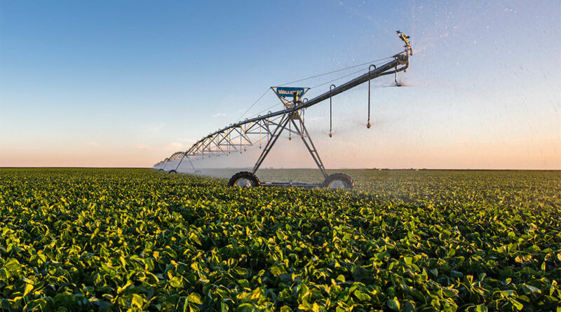 pommes de terre avec système d'irrigation à Pivot central