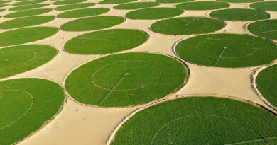 cercles de cultures dans le désert