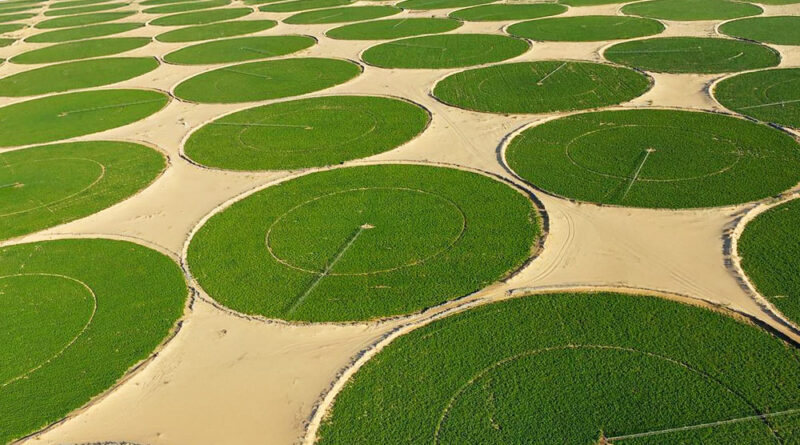 cercles de cultures dans le désert