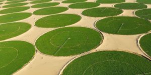 Les cercles de cultures : une signature visible depuis le ciel